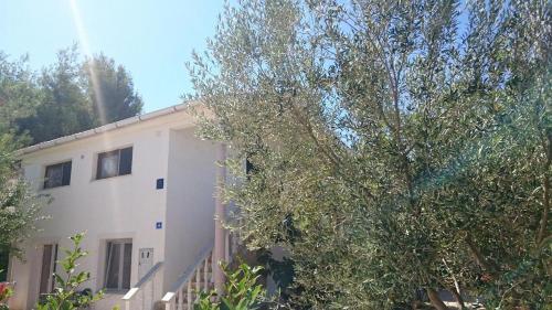 Apartment Vir 12948b