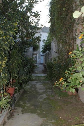 Apartment Vis 8921b
