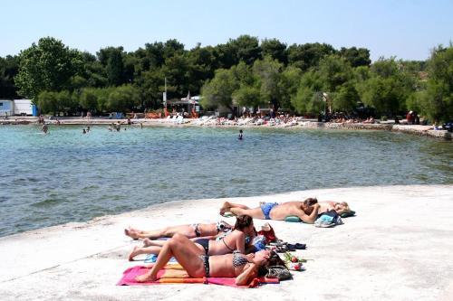 Apartment Vodice 12552b