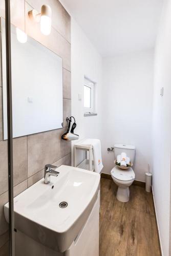 Seaside Apartments With A Swimming Pool Vodice - 16362