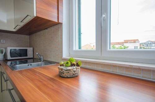 Apartment Ervin