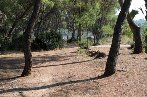 Apartments By The Sea Mudri Dolac (hvar) - 4042