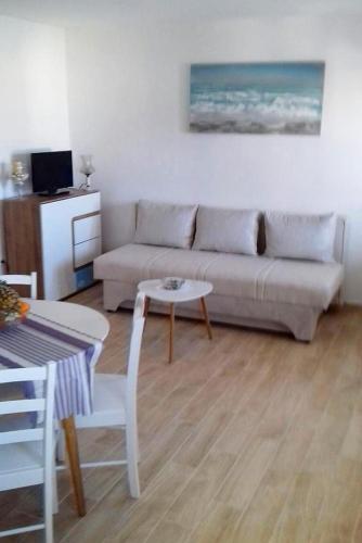 Apartment Basina 4622a