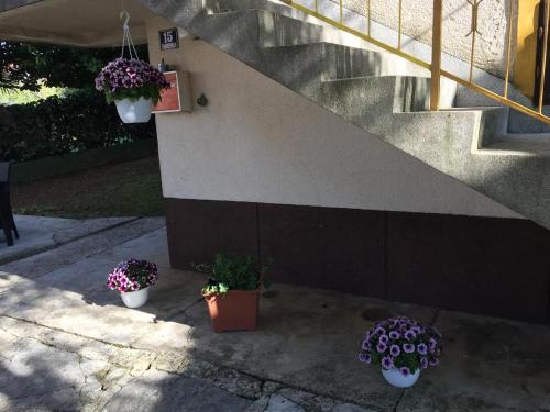 Apartments By The Sea Vrsar (porec) - 14228