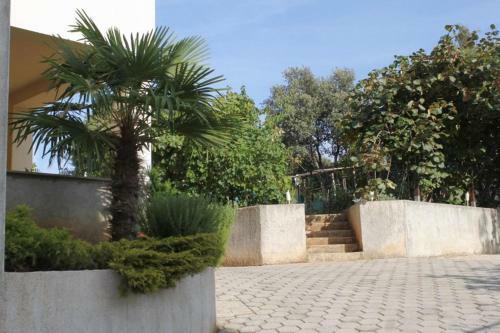 Apartment Vrsar 7129b