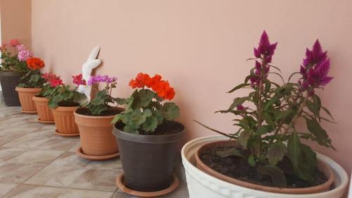 Apartment Vrsi 14211b