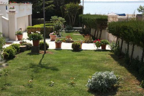 Apartment Vrsi - Mulo 6155h