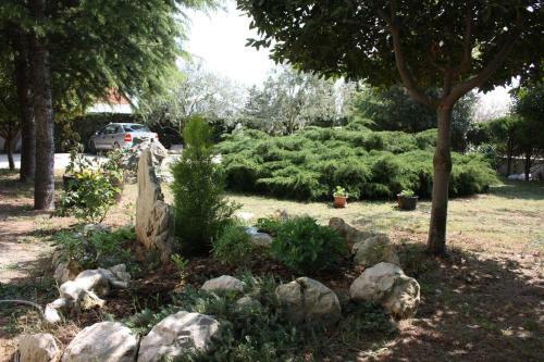 Apartment Vrsi - Mulo 6155e
