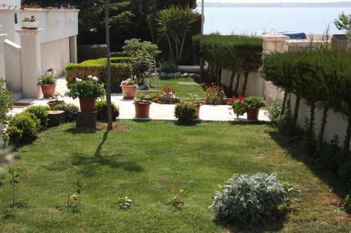 Apartment Vrsi - Mulo 6155c