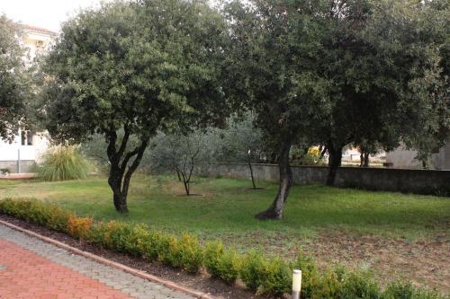 Apartment Vrsi - Mulo 5951b