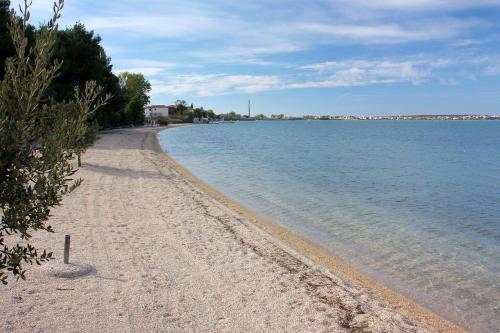 Apartment Vrsi - Mulo 5796b