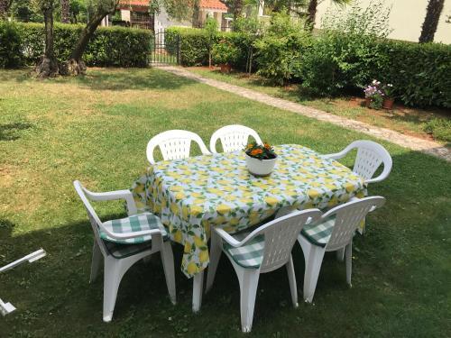 Apartment Branka