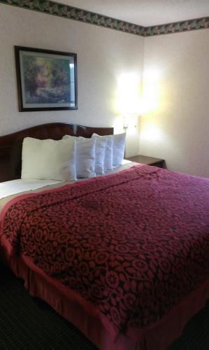 Hotel Days Inn San Antonio Alamo/riverwalk