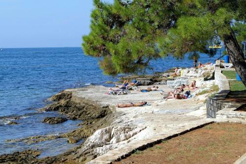 Apartment Porec 13141a