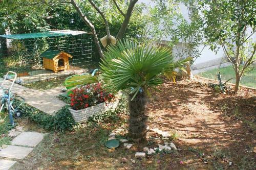 Apartamentos Studio Porec 2285a