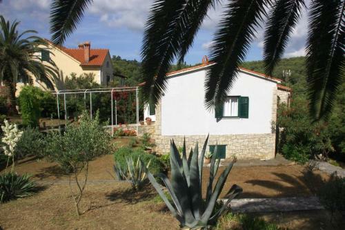 Seaside Holiday House Postira (brac) - 13001