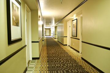 Hotel Best Western Plus Cottontree I