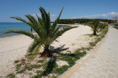Apartments Cecilija