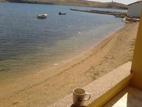 Apartments By The Sea Dinjiska (pag) - 9386