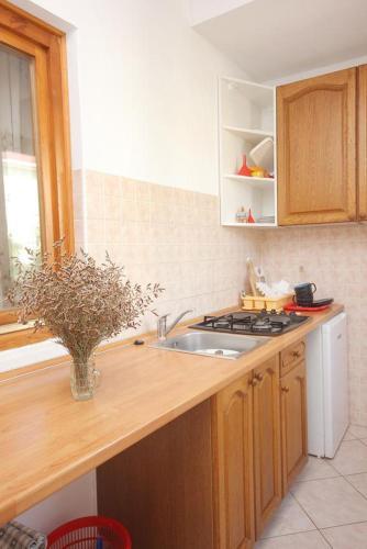 Apartments By The Sea Dinjiska (pag) - 9386