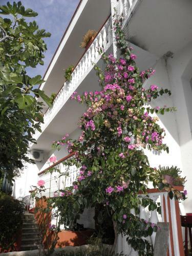Apartments Pere