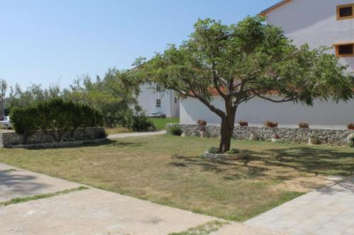 Apartment Vlasici 6523a