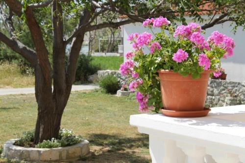 Apartment Vlasici 6523a
