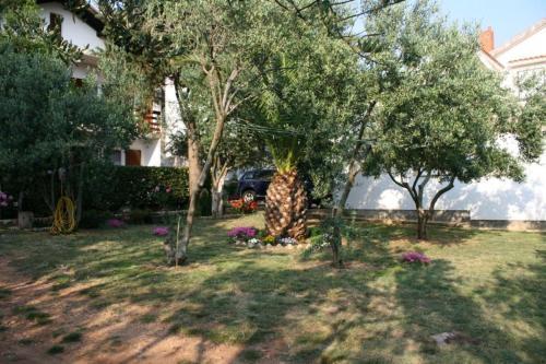 Apartment Povljana 226b