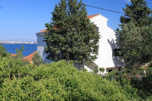 Apartment Preko 8431b