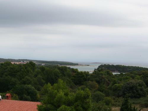 Apartment Branka