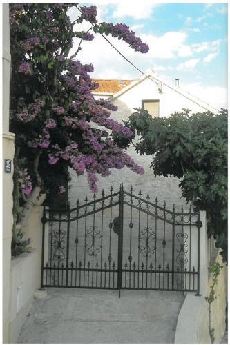 Apartment Pucisca 14003a