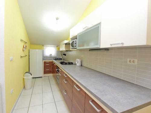 Apartment Darko 1439