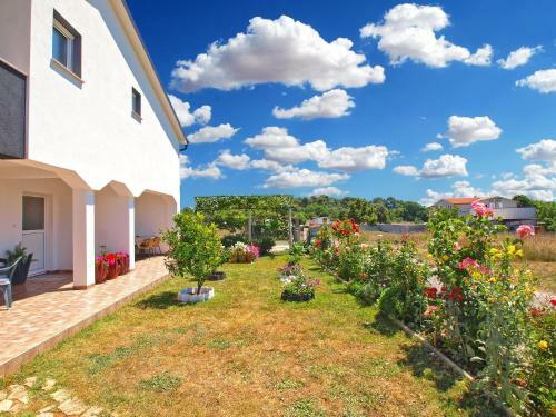 Apartment Darko 1439