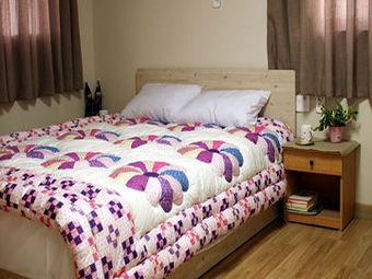 Hotel Ss Guest House (std D)