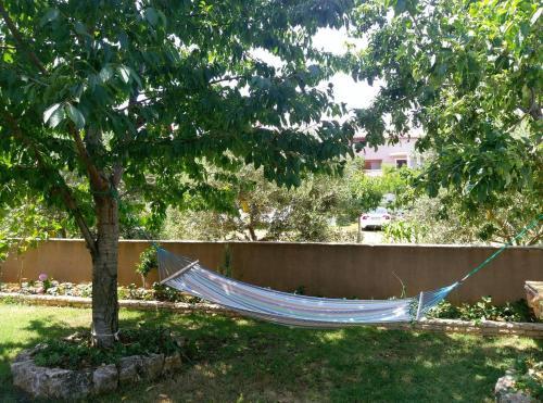 Apartment Premantura 7262a