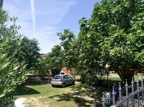 Apartment Premantura 7262a