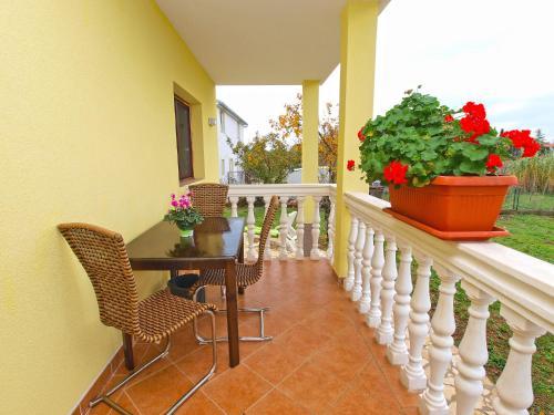 Apartments Jure 978