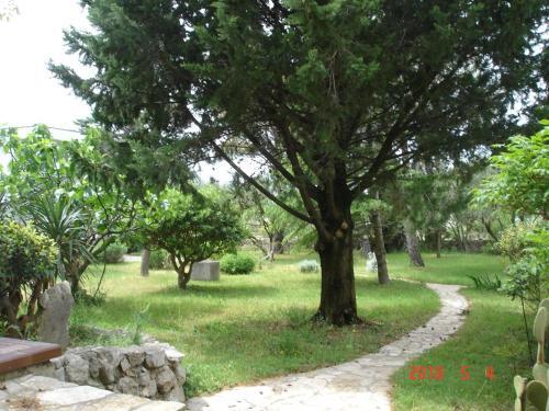 Apartment Punat 15259a