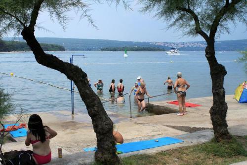 Apartment Punat 13538e