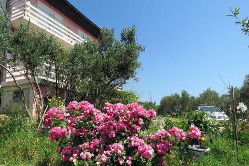 Apartment Barbat 4988c