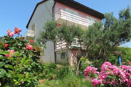 Apartment Barbat 4988c