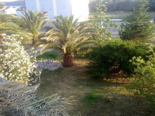 Apartments With A Parking Space Banjol (Rab) - 15463