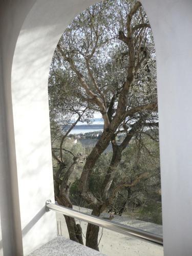 Apartment In Banjol/insel Rab 17547
