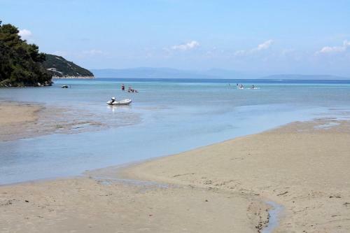 Apartments By The Sea Kampor (rab) - 12388