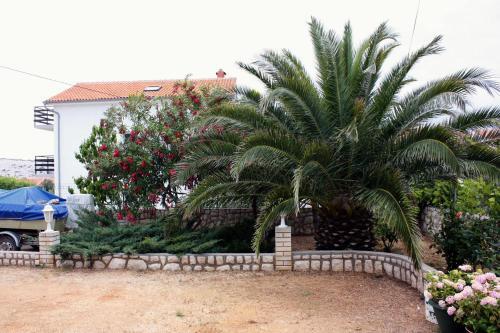 Apartamentos Studio Barbat 5015a