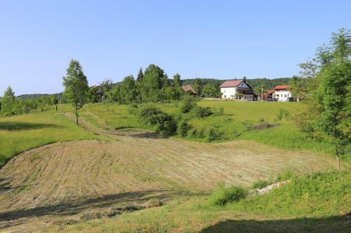 Apartments With A Parking Space Rakovica (plitvice) - 16071