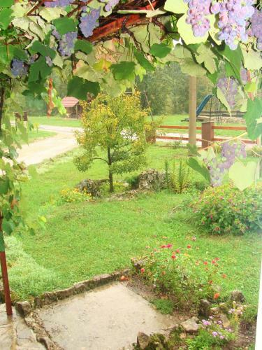 Hostal House Luketi?
