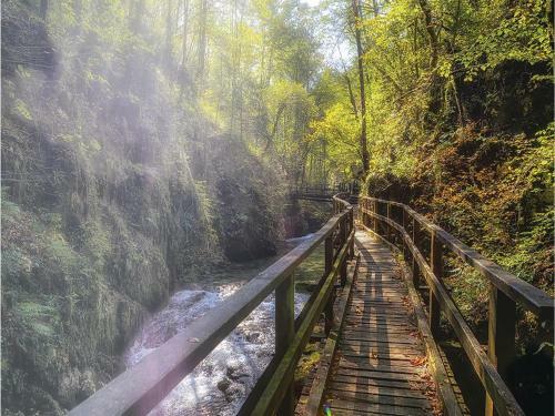 Two-bedroom Apartment In Ravna Gora