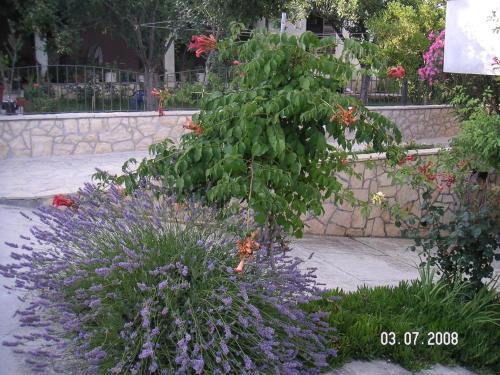 Apartment Ljubac 14593c