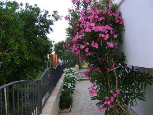 Apartamentos Studio Ljubac 14593a